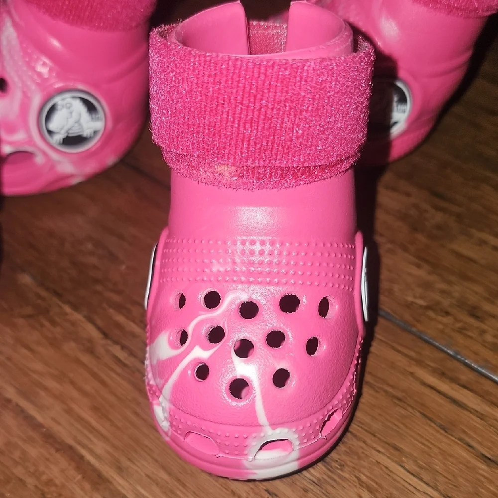 Dog Crocs - Picture 3 of 6